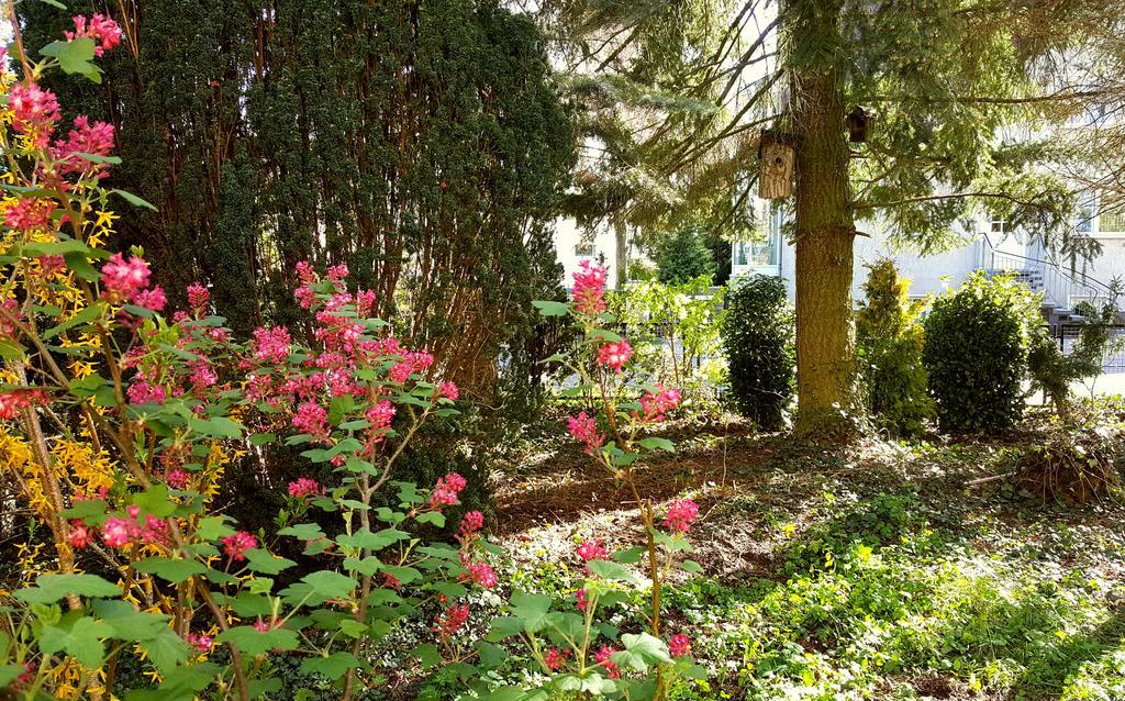 Ferienhaus Sanssouci Stahnsdorf Ngoại thất bức ảnh
