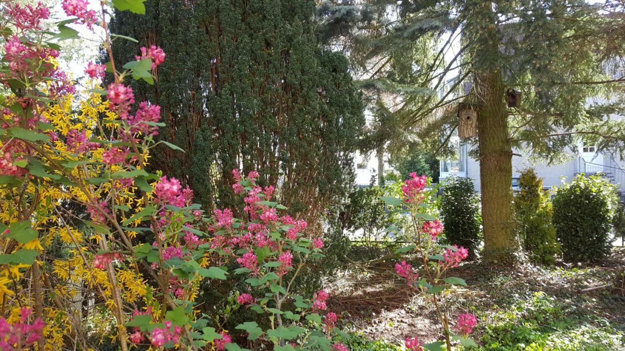 Ferienhaus Sanssouci Stahnsdorf Ngoại thất bức ảnh